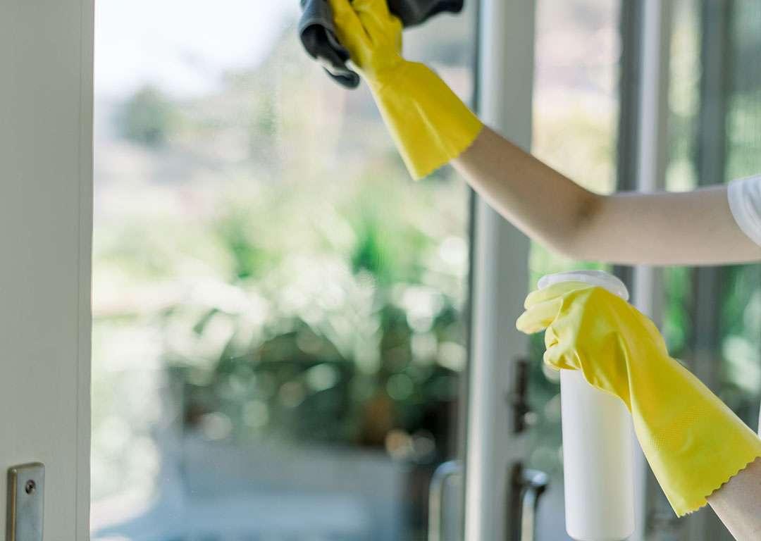 divi-cleaning-theme-14